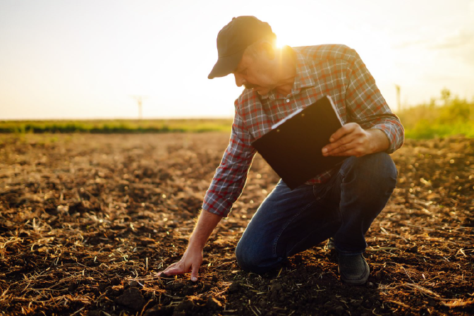 Man in with clipboard looking at soil